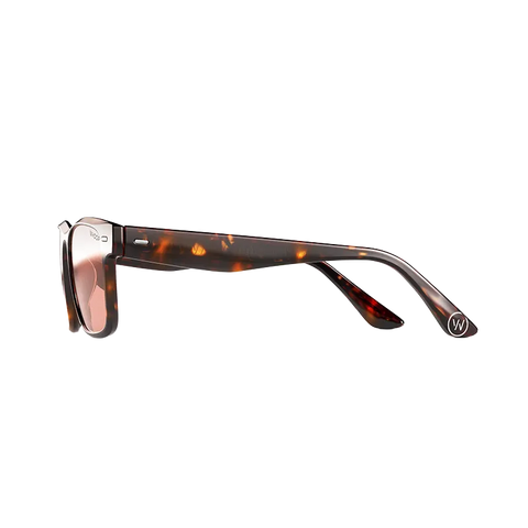 Blue Light Glasses