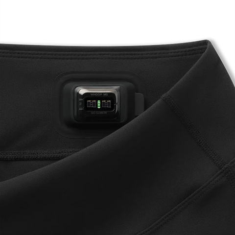 Women's Training Short