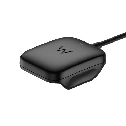 Basic Charger